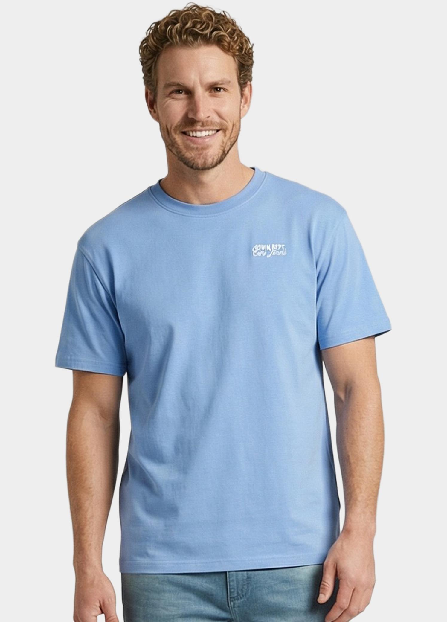 Cars Jeans T-shirt korte mouw Grijs Carlow 60171/71