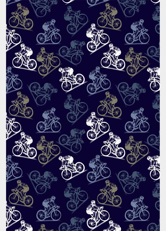 R.B. Boston Casual hemd lange mouw Blauw Franklin LS Button Down 427670/608