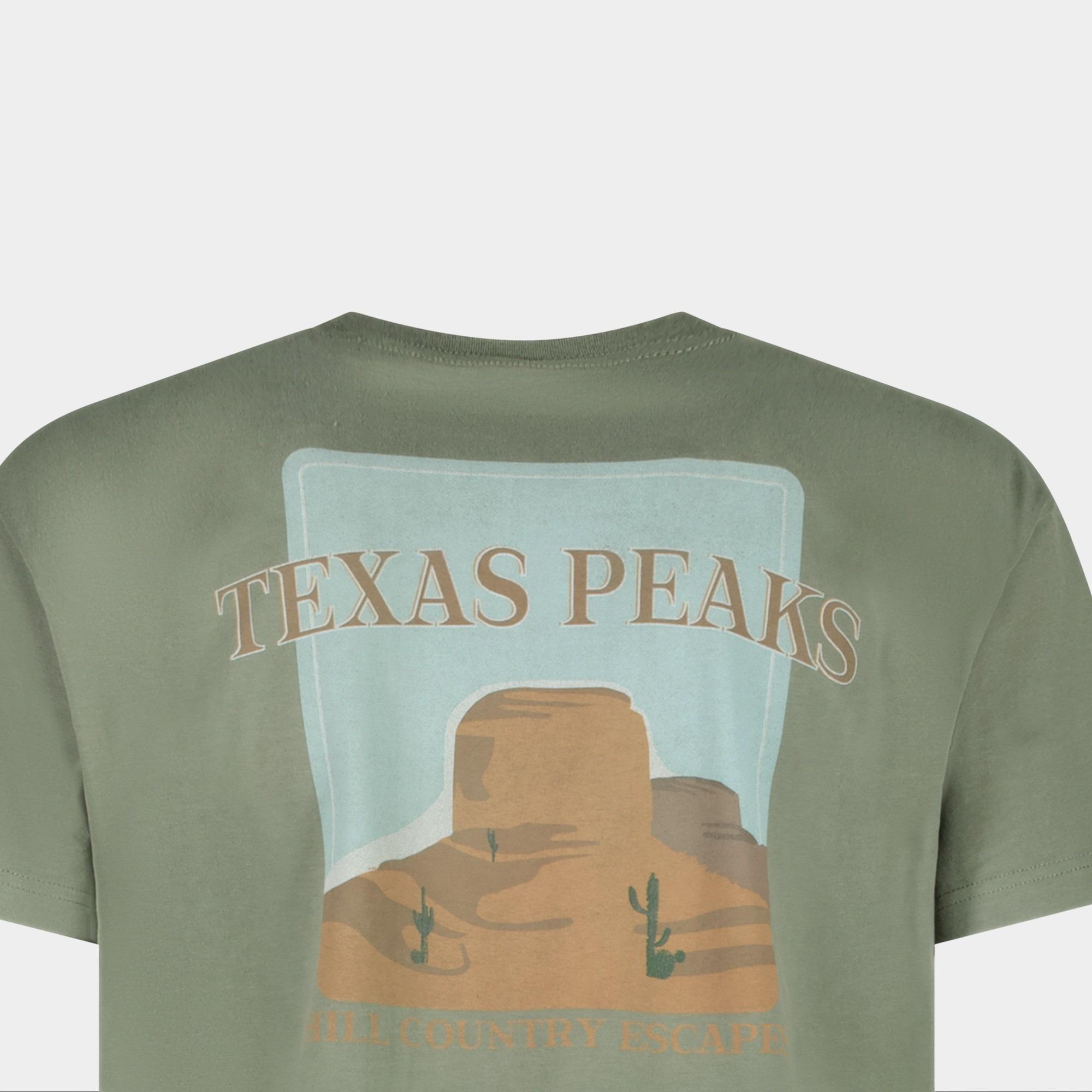 Cars Jeans T-shirt korte mouw Groen MONTA 41685/19
