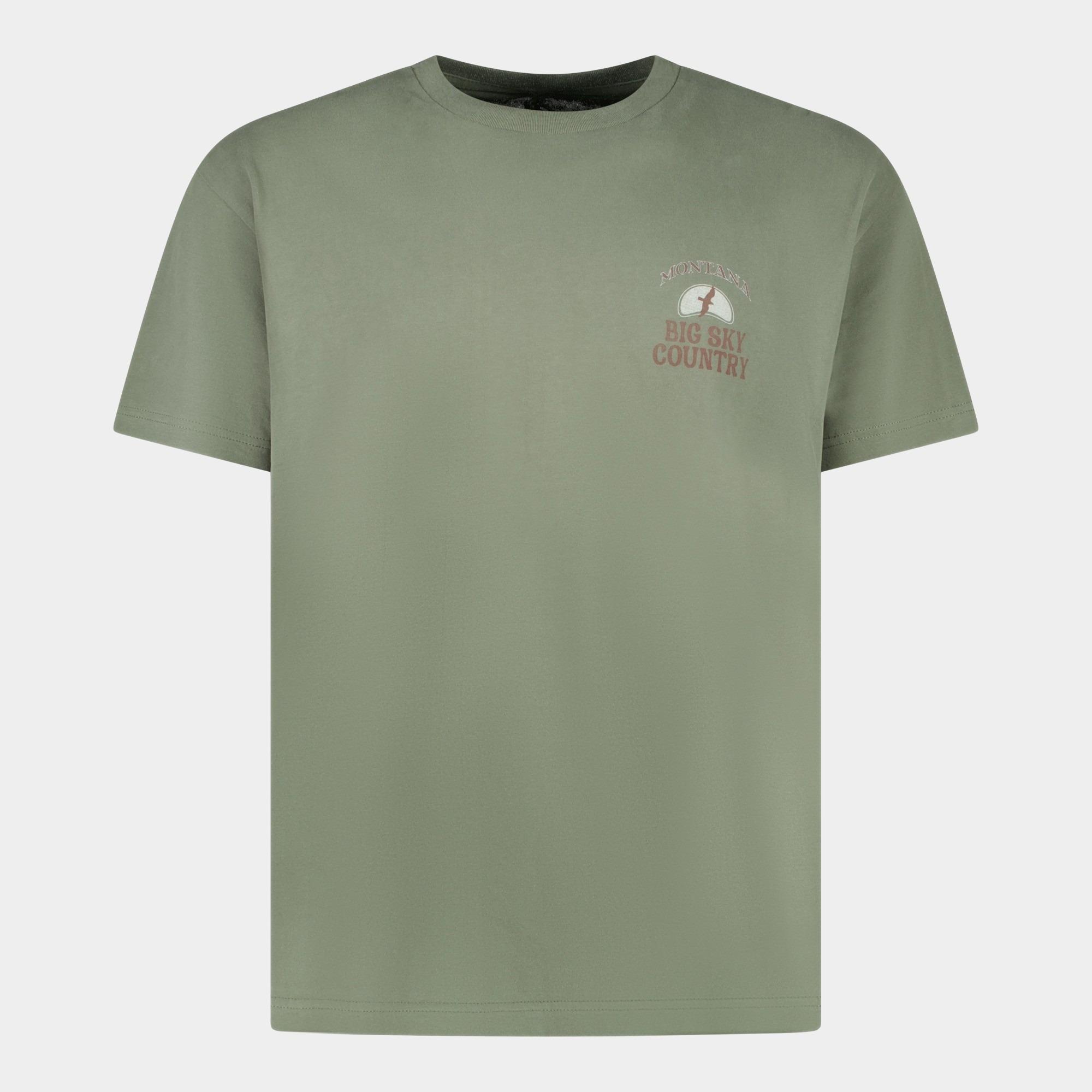 Cars Jeans T-shirt korte mouw Groen MONTA 41685/19