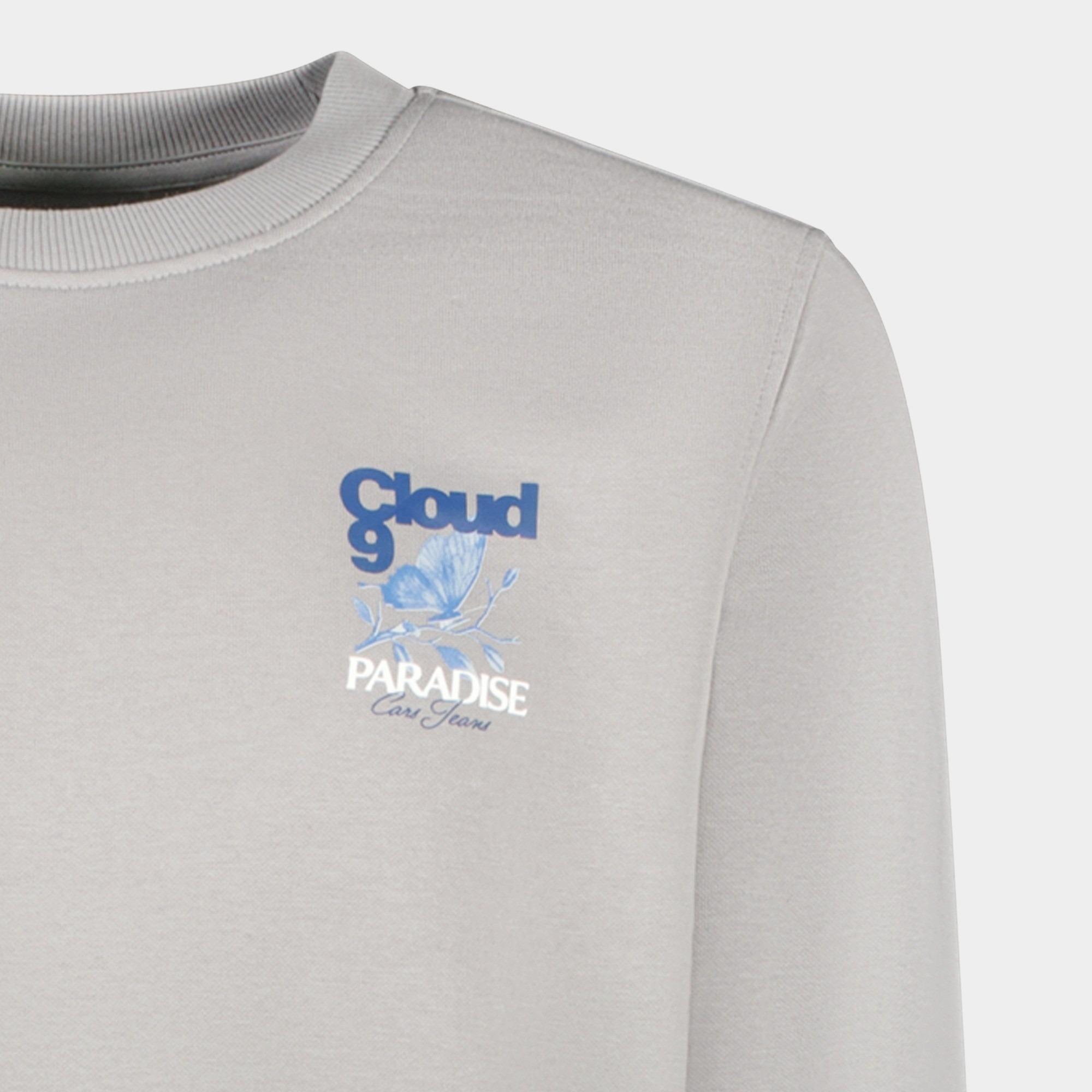Cars Jeans Sweater Grijs Cloud 62865/24
