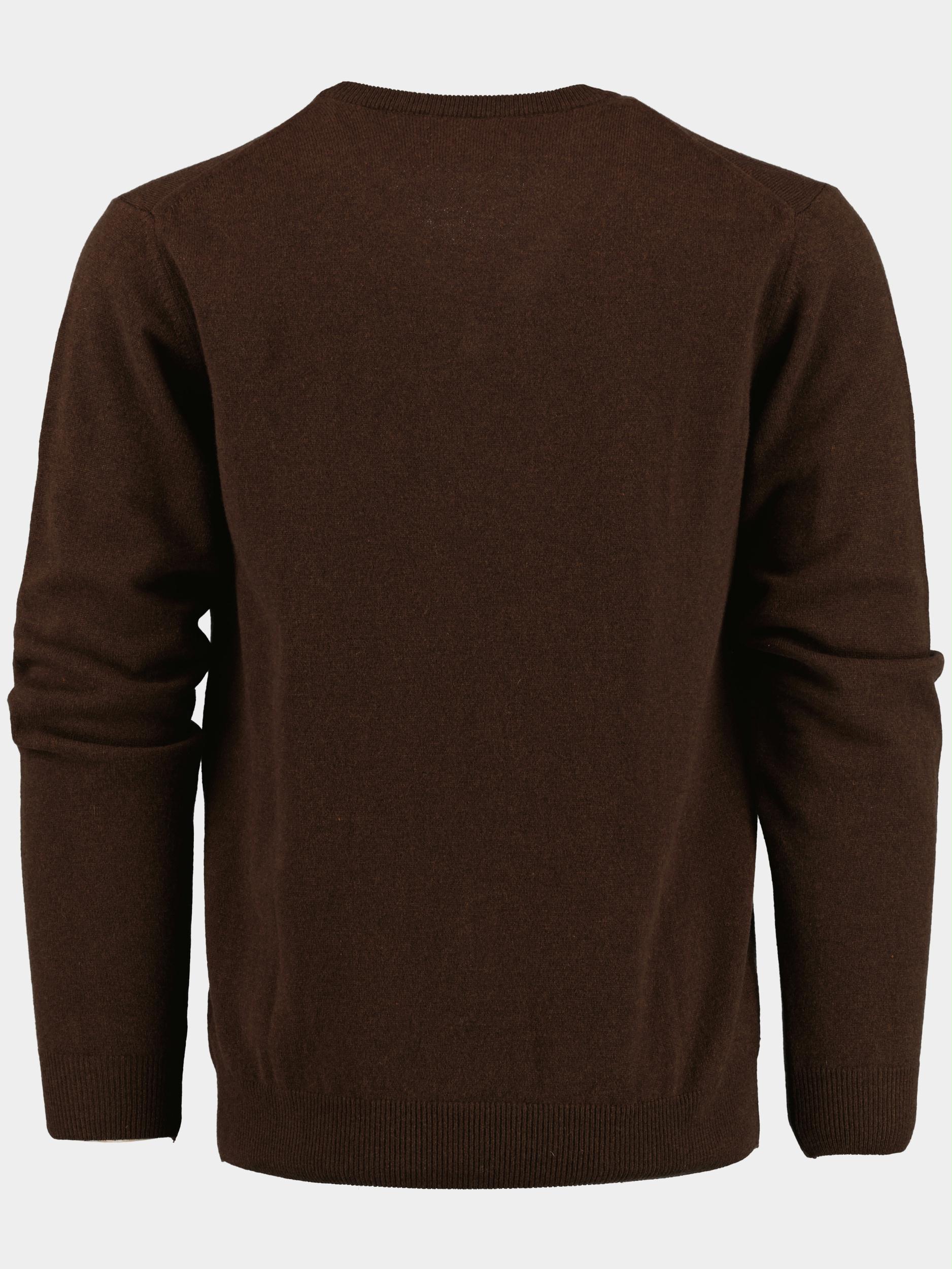 Gant Pullover Bruin Superfine lambswool V-neck 86212/280