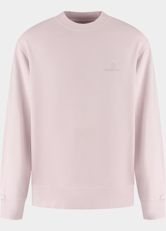 Dstrezzed Pullover heren Paars DS_Nikol Crew 211710-SMO/462