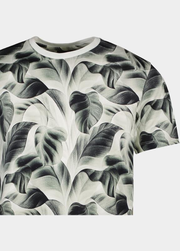 Cars Jeans T-shirt korte mouw Grijs Tipah 63563/44