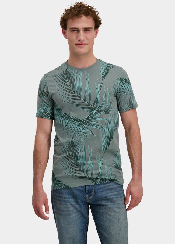 Cars Jeans T-shirt korte mouw Grijs Torro 63663/44