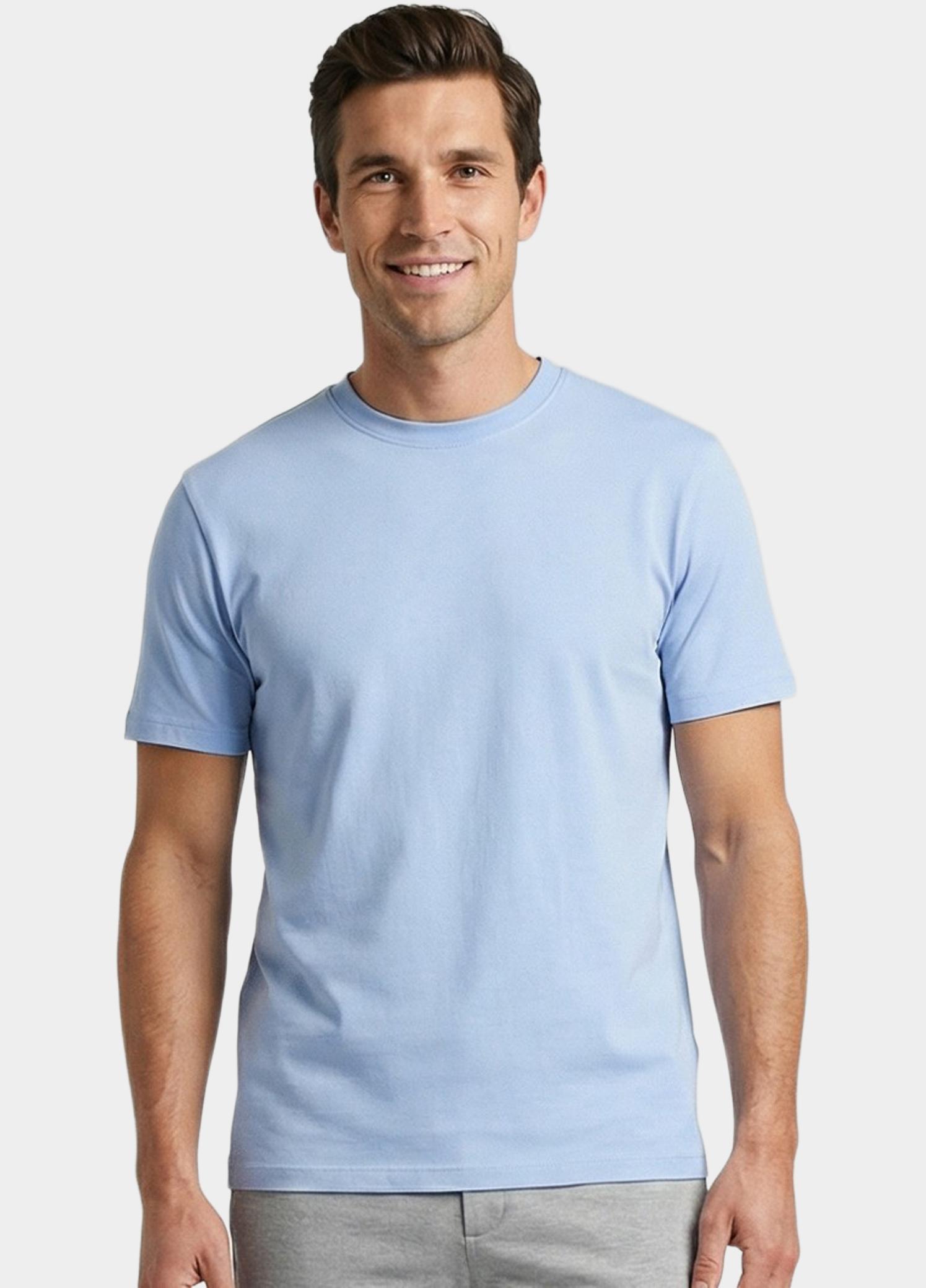 Cars Jeans T-shirt korte mouw Grijs Stayo 62771/71