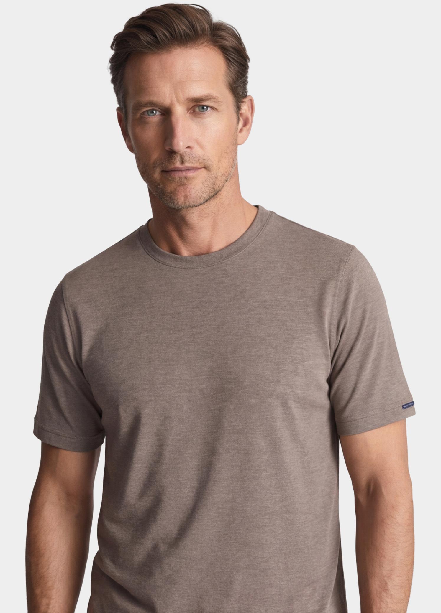 Baileys T-shirt heren Bruin T-Shirt crew neck   2-tone 615077/80