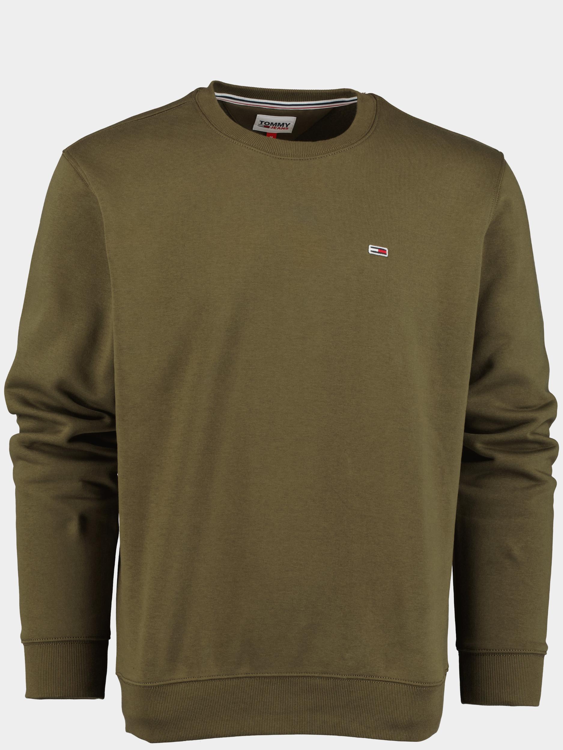 Tommy Jeans Sweater Groen TJM Regular Fleece C Neck DM0DM09591/MR1 product