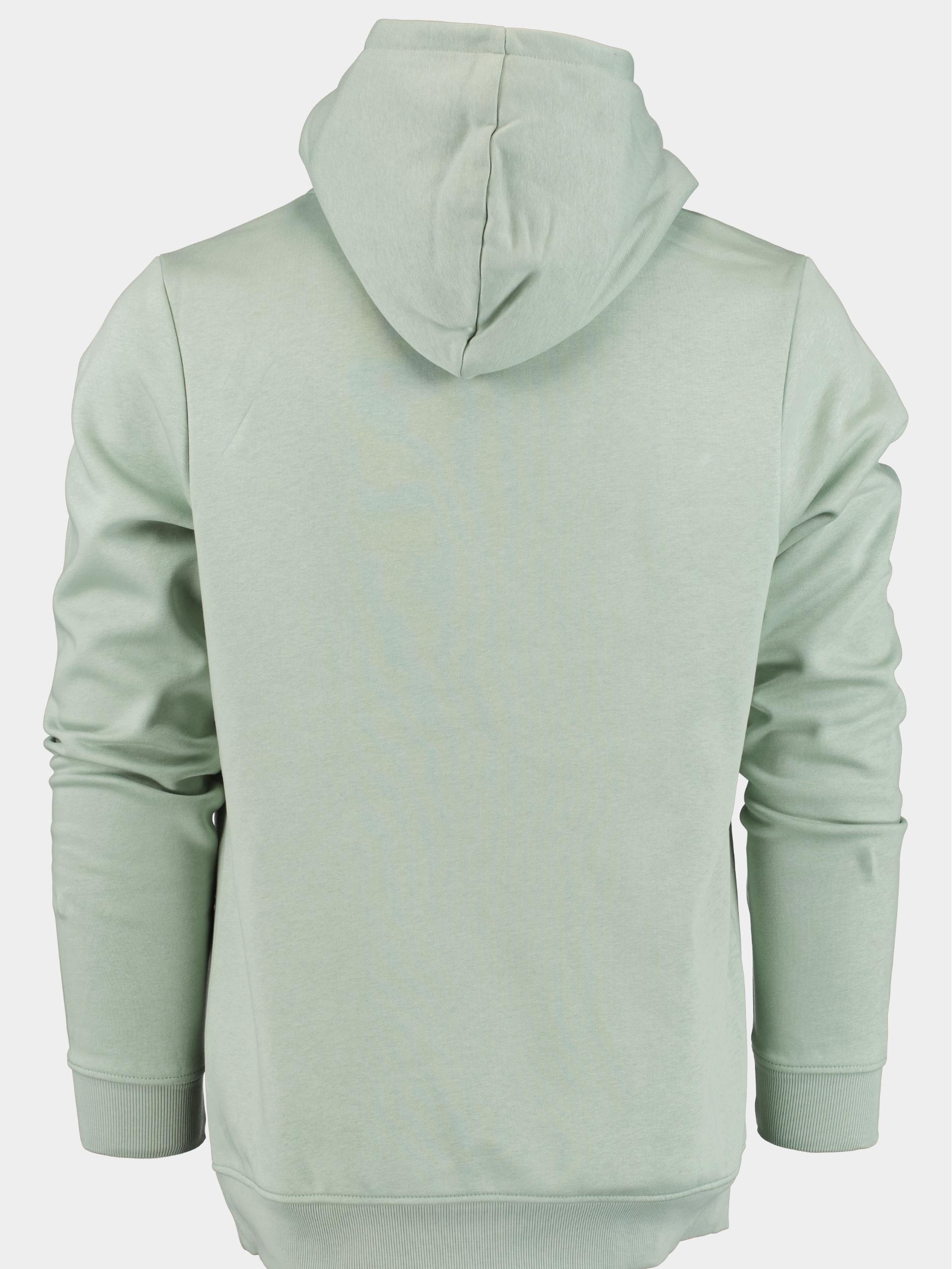 Cars Jeans Sweater Groen Bocas 60146/18