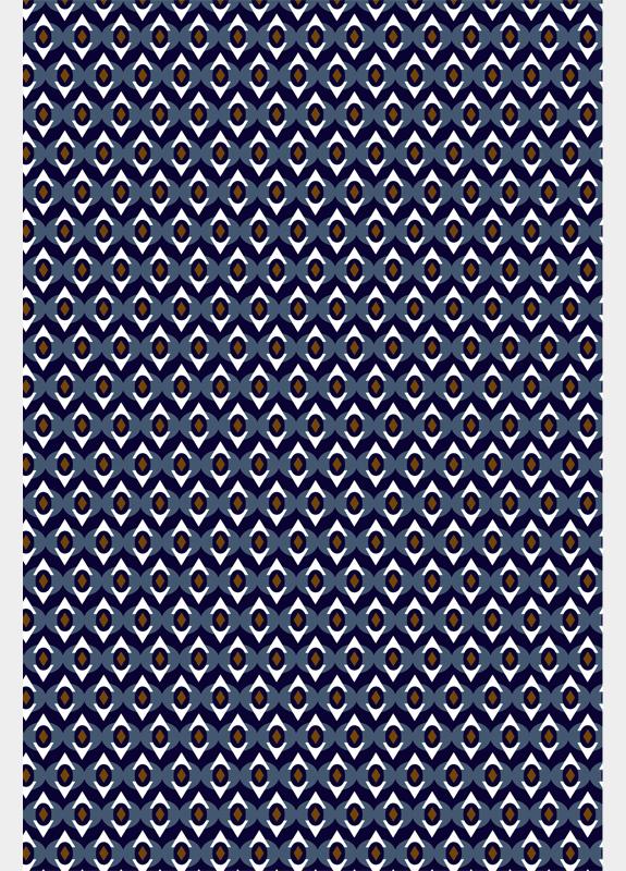 R.B. Boston Casual hemd lange mouw Blauw Franklin LS Button Down 427670/627