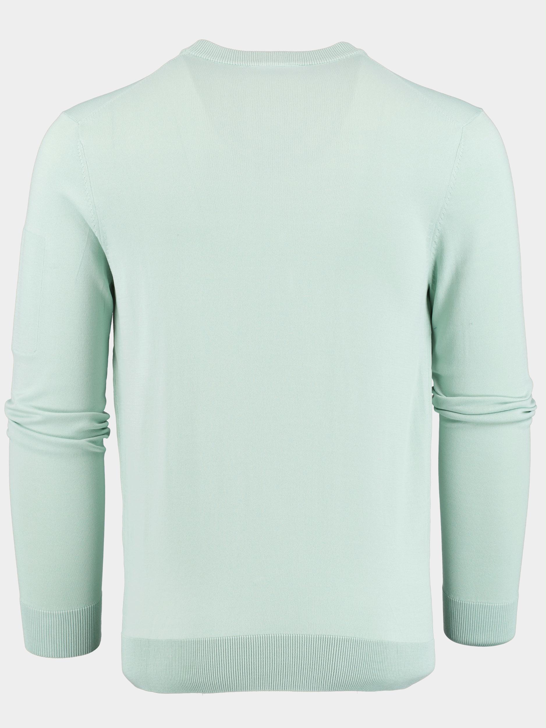 Born With Appetite Pullover Groen Pipa R-neck Stretch 23105PI72/315 ocean