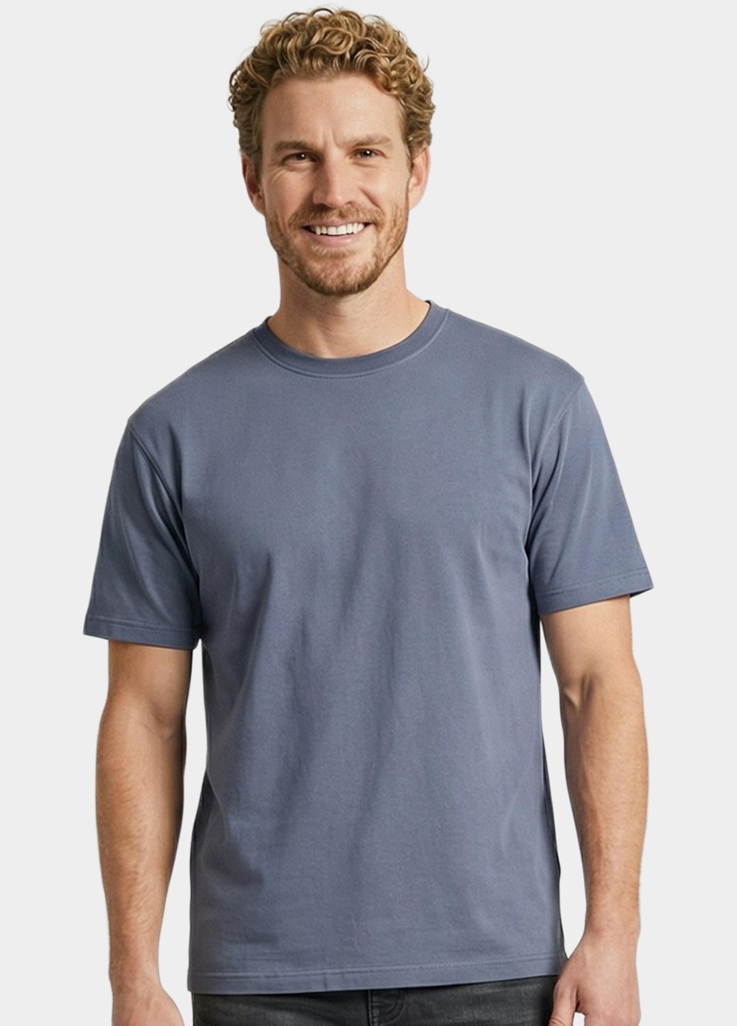 Cars Jeans T-shirt korte mouw Blauw Stayo 62771/12