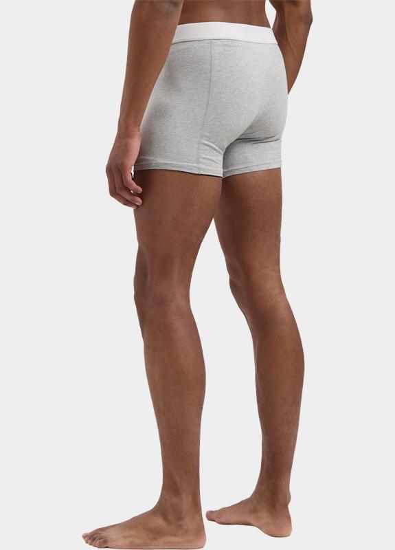 Dstrezzed Boxershorts Grijs Chaplin 2 Pack Boxers Bamboo 707014/893