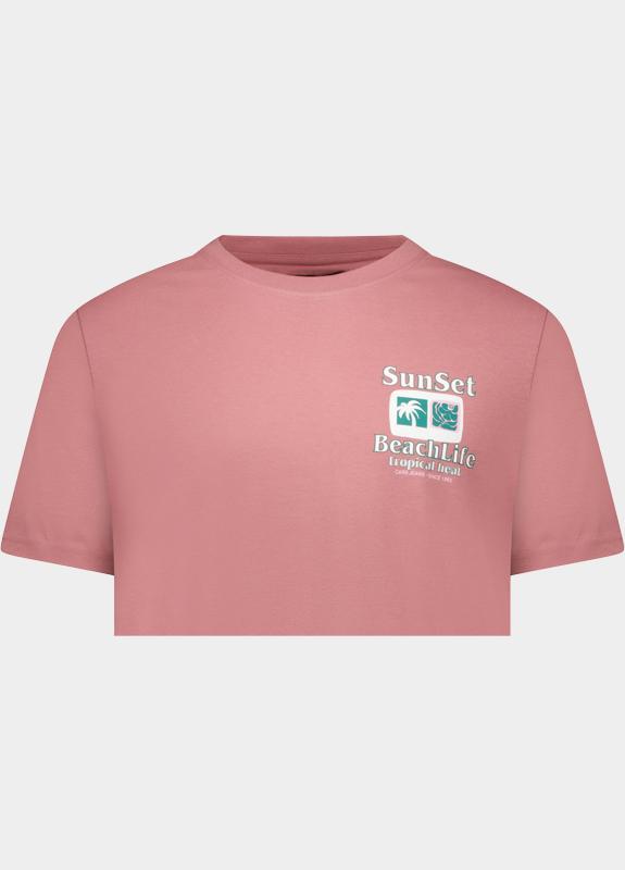 Cars Jeans T-shirt korte mouw Paars Ritzo 62371/62