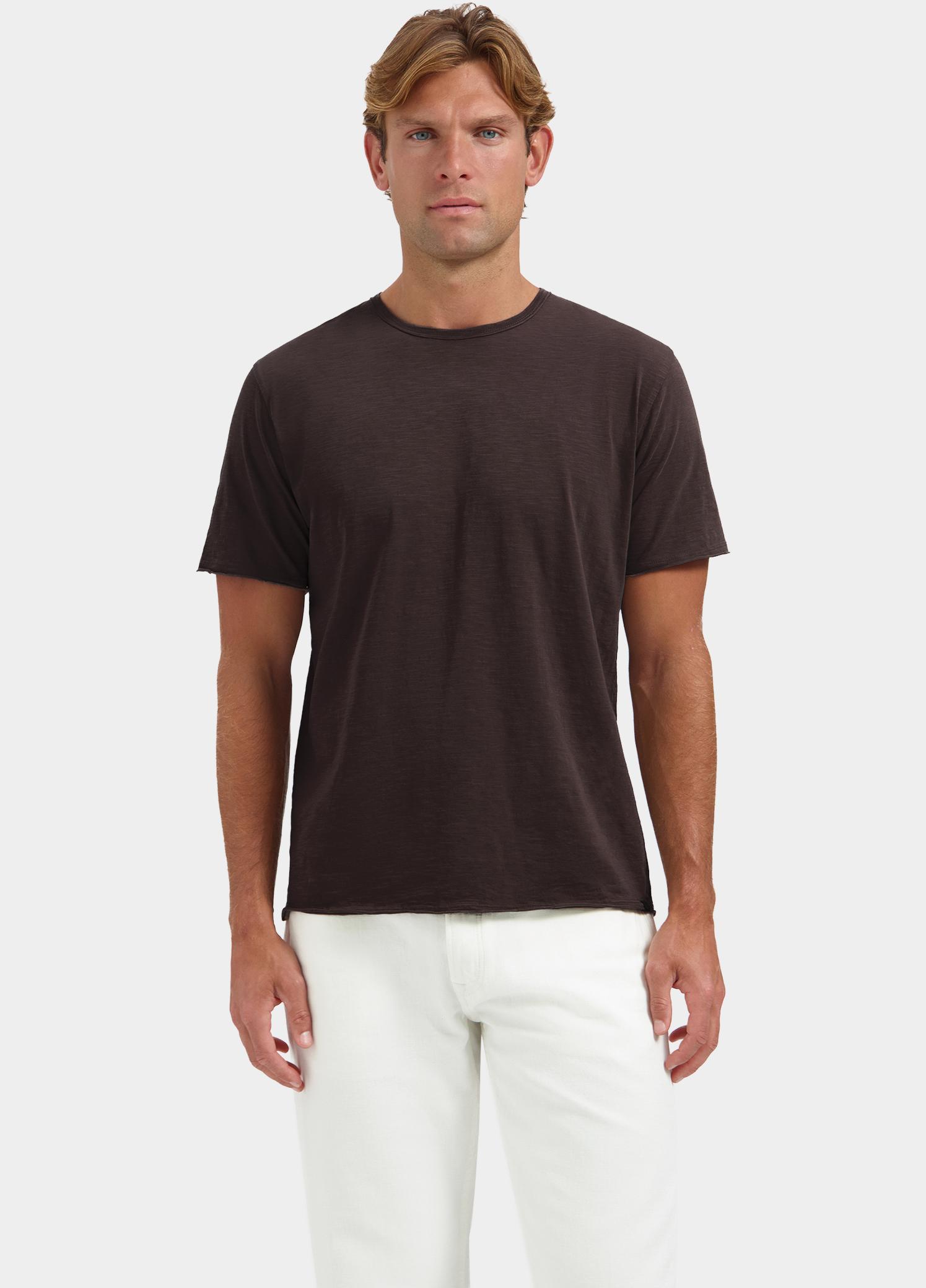 Dstrezzed T-shirt heren Bruin Mc Queen 202274/799