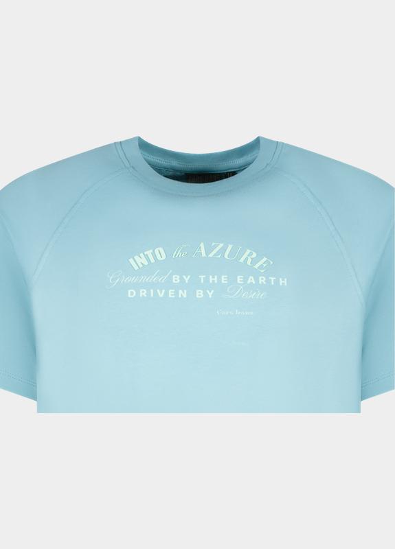 Cars Jeans T-shirt korte mouw Grijs Taymes 60671/47