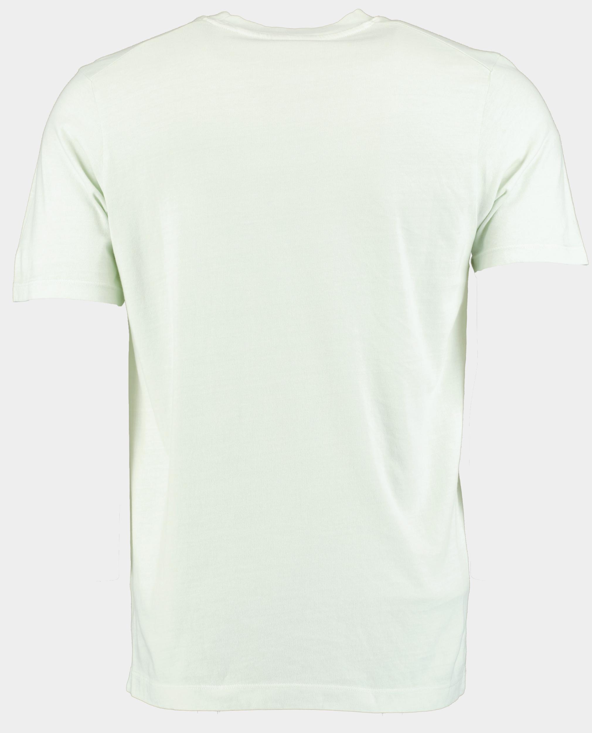Dstrezzed T-shirt korte mouw Groen DS_Nickolas Tee 202876-SS25/561