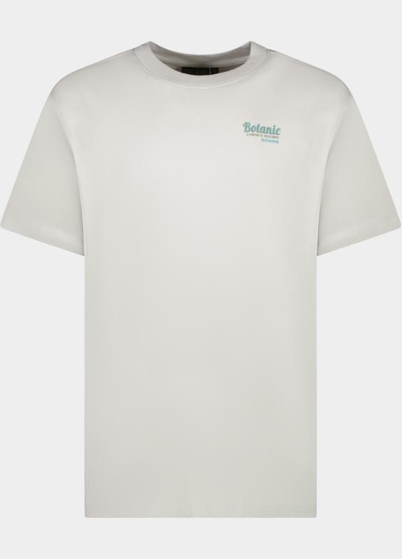 Cars Jeans T-shirt korte mouw Grijs Pluyo 61071/73