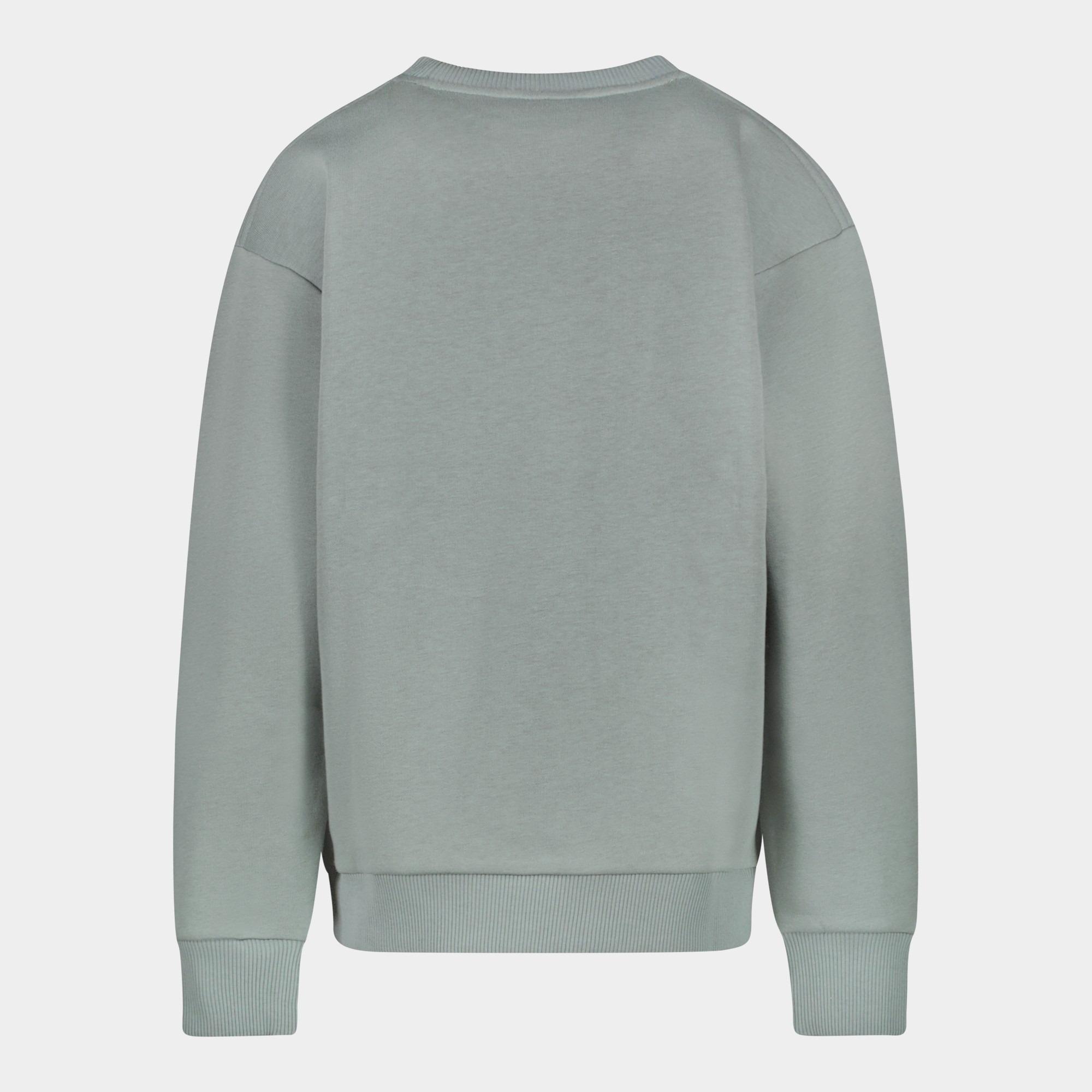 Cars Jeans Sweater Groen EAMON 40385/44