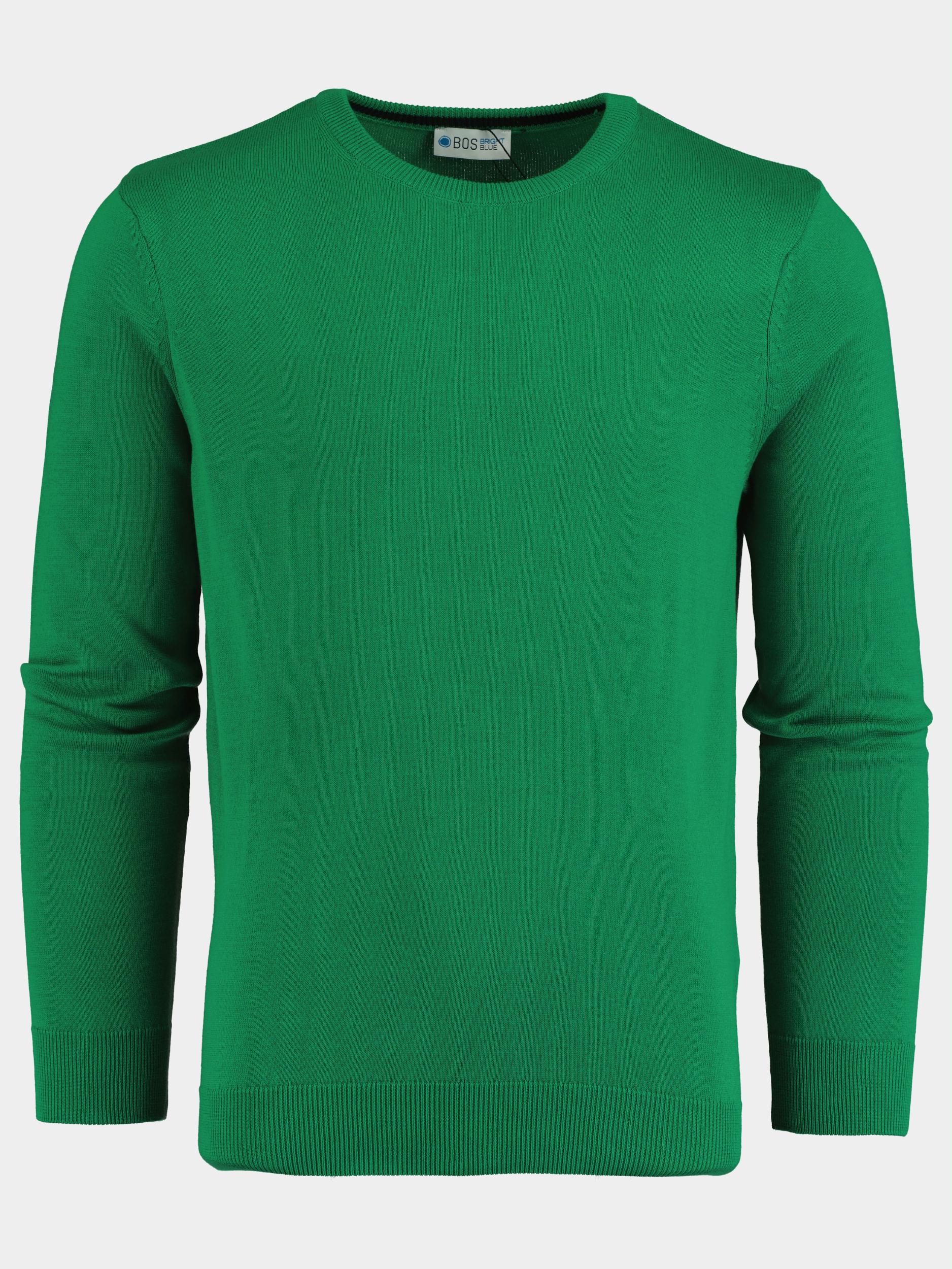Bos Bright Blue Pullover Groen Bram 180541/Green
