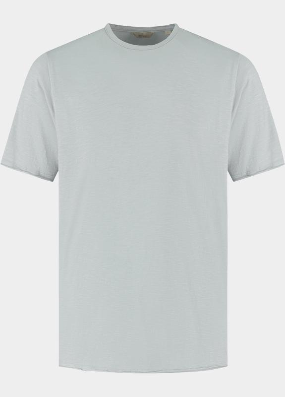 Dstrezzed T-shirt heren Grijs Mc Queen Tee 202274/831