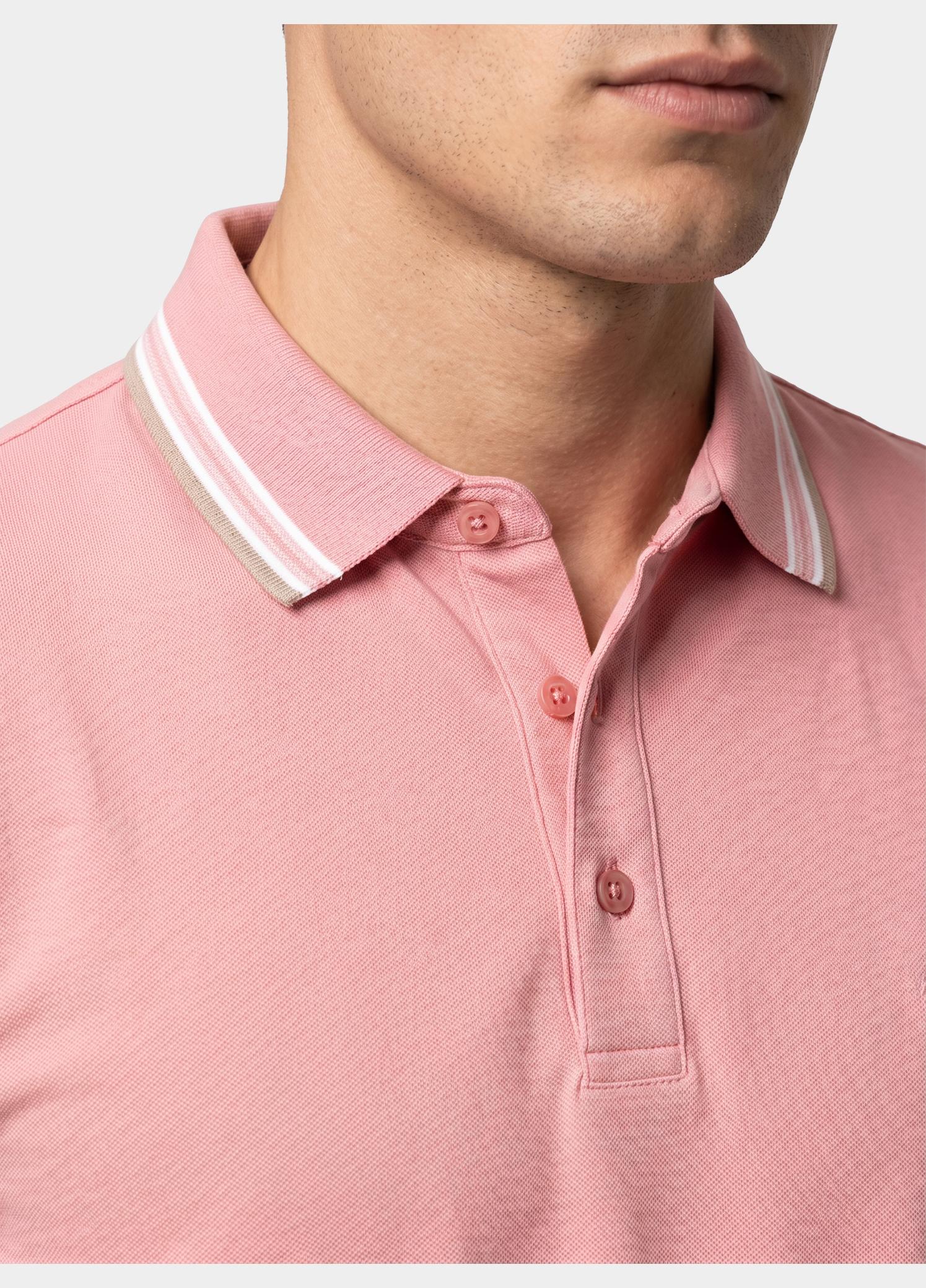 Scotland Blue Polo heren Roze Brick Polo Plain Contrast Col SPE25108BR06SB/738 candy