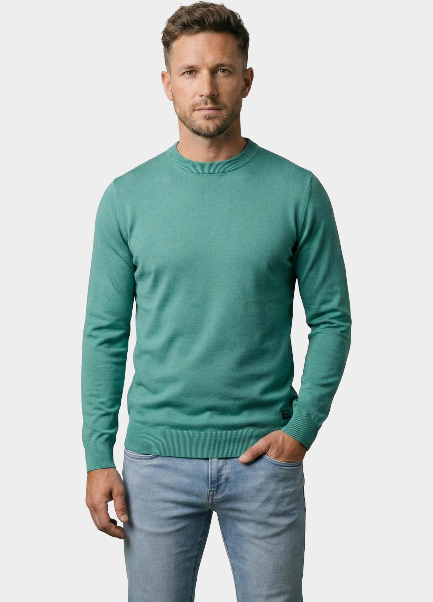 Cars Jeans Pullover heren Groen Benny 65363/34