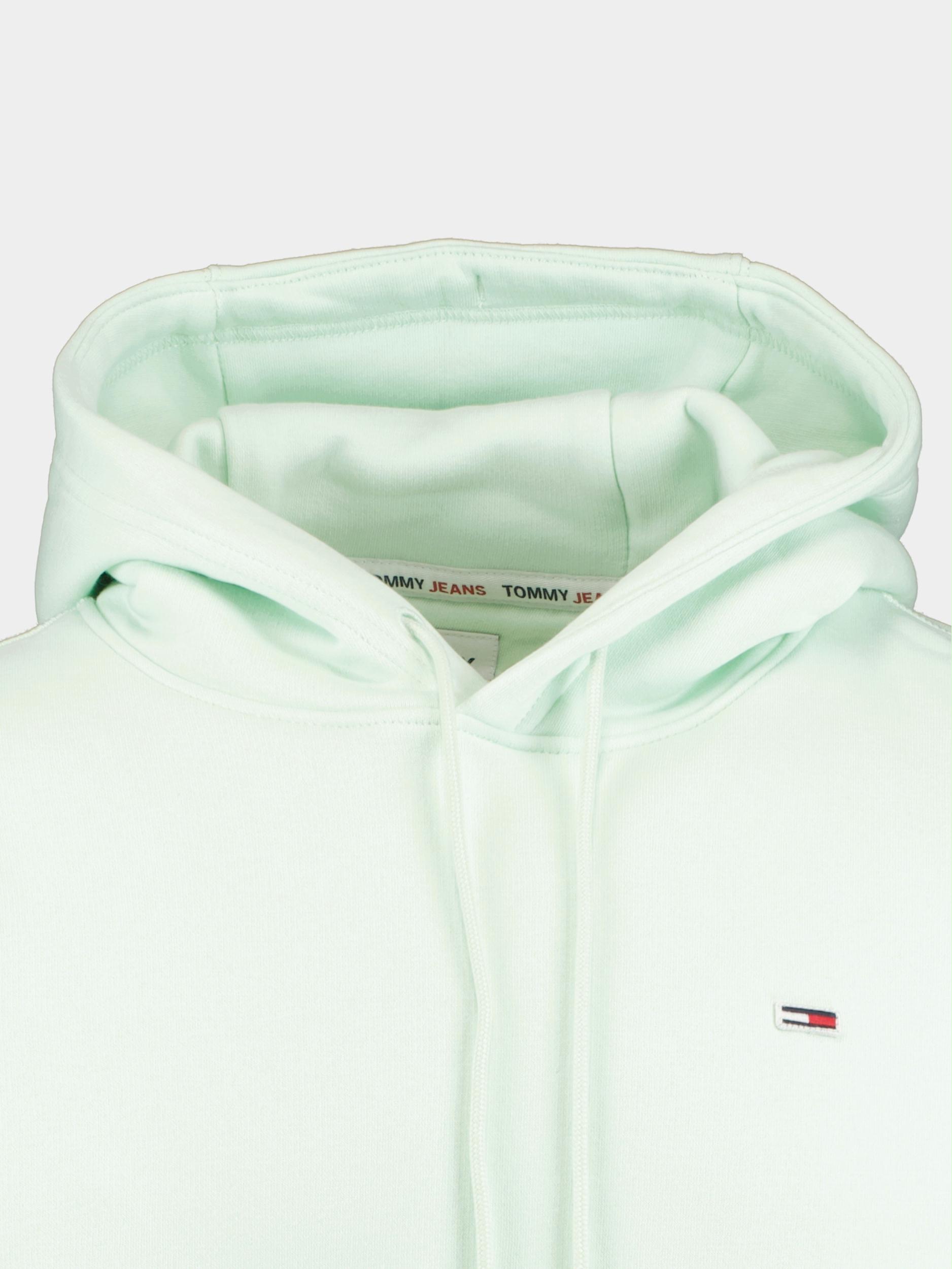 Tommy Jeans Sweater Groen TJM Reg Solid Hoodie DM0DM16382/LXW