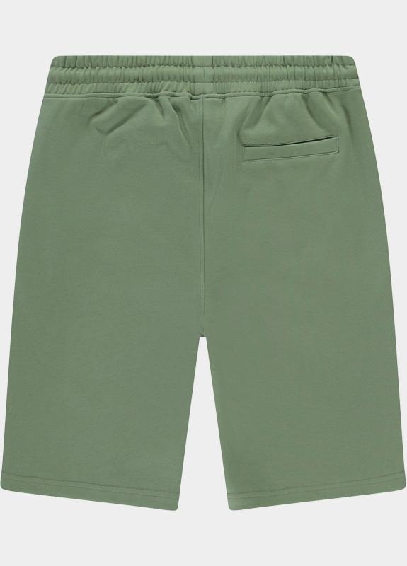 Cars Jeans Korte Broek heren Groen BRIYAM SW Short 45695/44