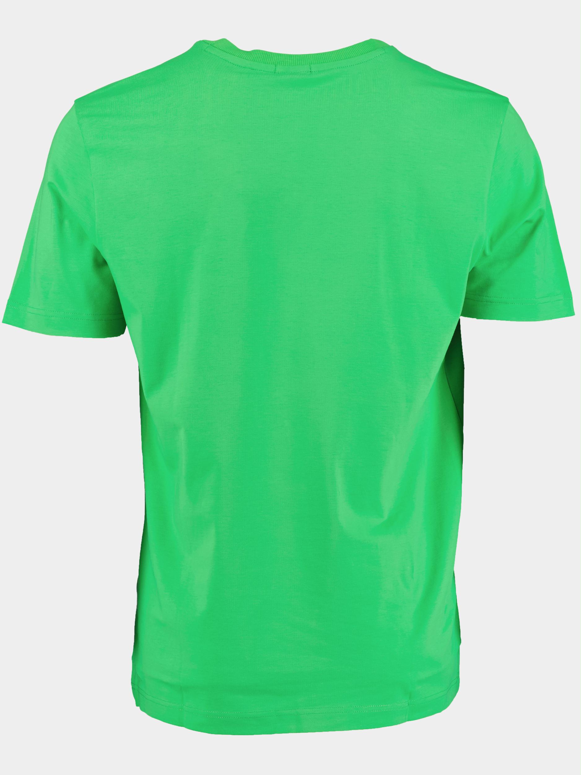 BOSS Green T-shirt korte mouw Groen Tee 10110340 01 50475828/341