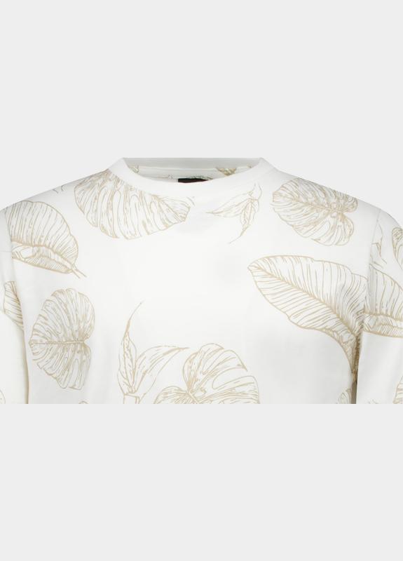 Cars Jeans T-shirt korte mouw Wit Sorro 60271/23