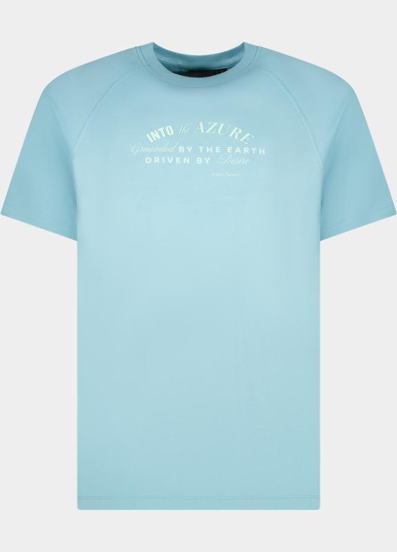 Cars Jeans T-shirt korte mouw Grijs Taymes 60671/47