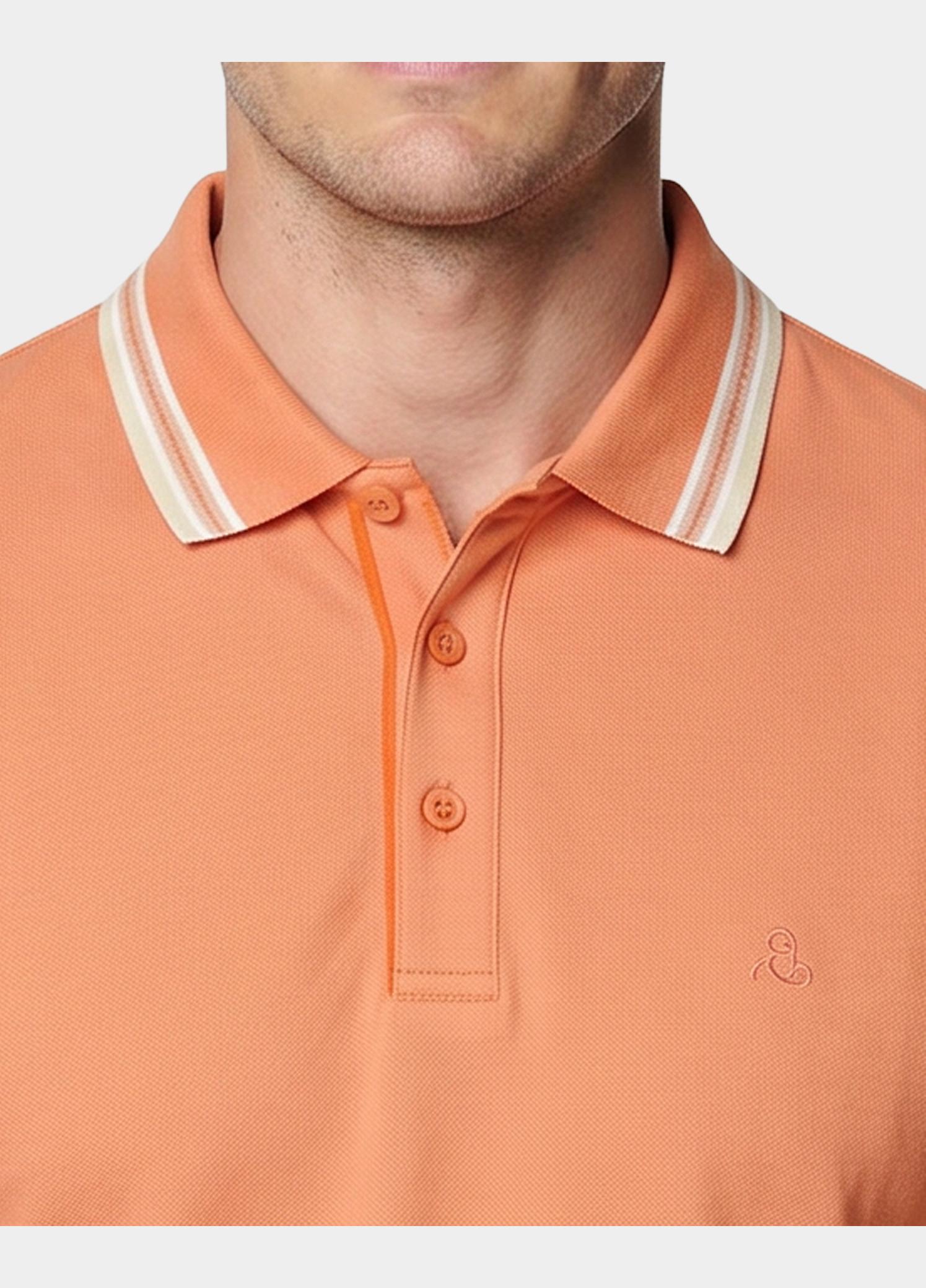 Scotland Blue Polo heren Oranje Brick Polo Plain Contrast Col SPE25108BR06SB/530 sunset