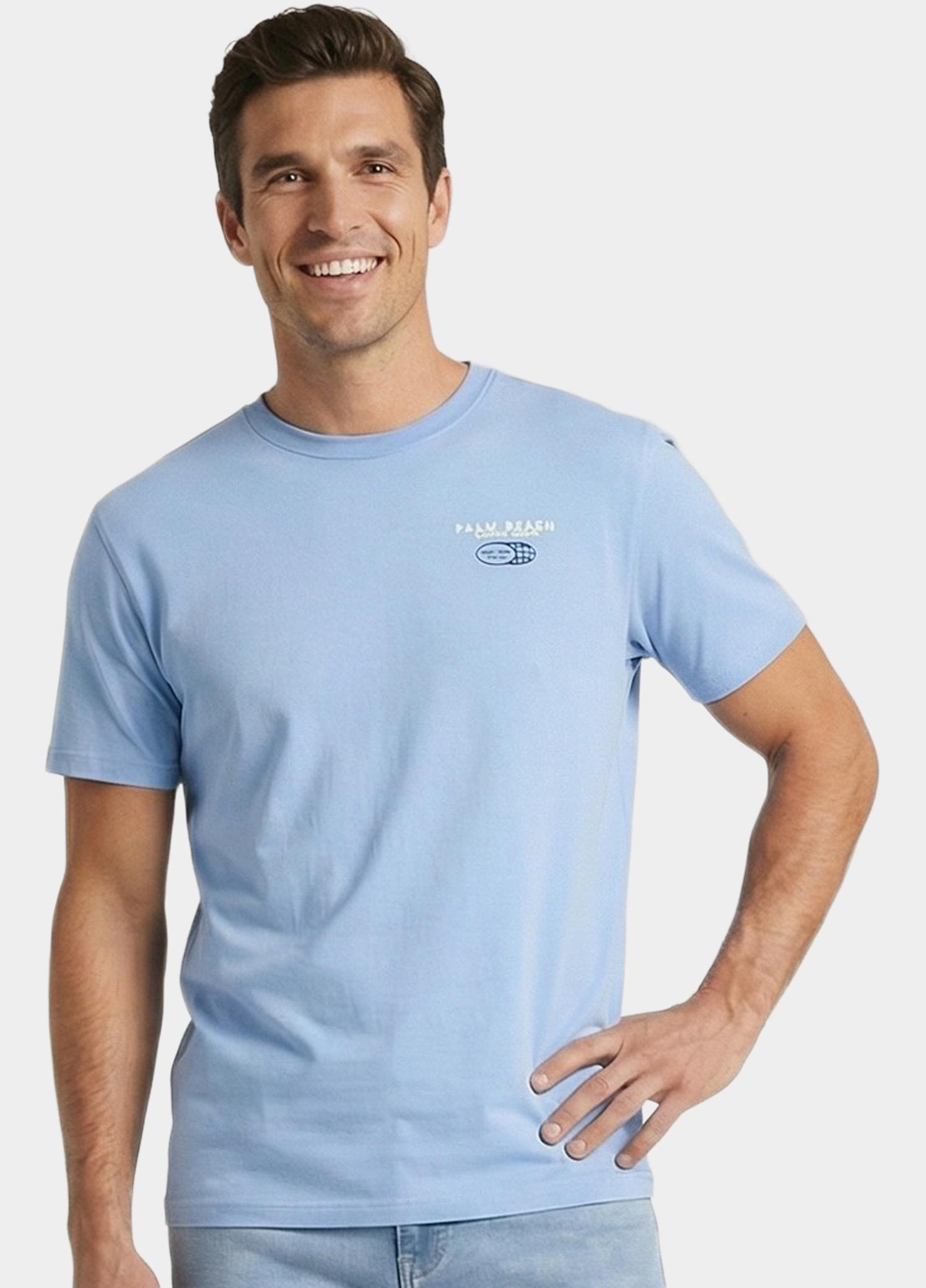 Cars Jeans T-shirt korte mouw Grijs Pluyo 61071/71