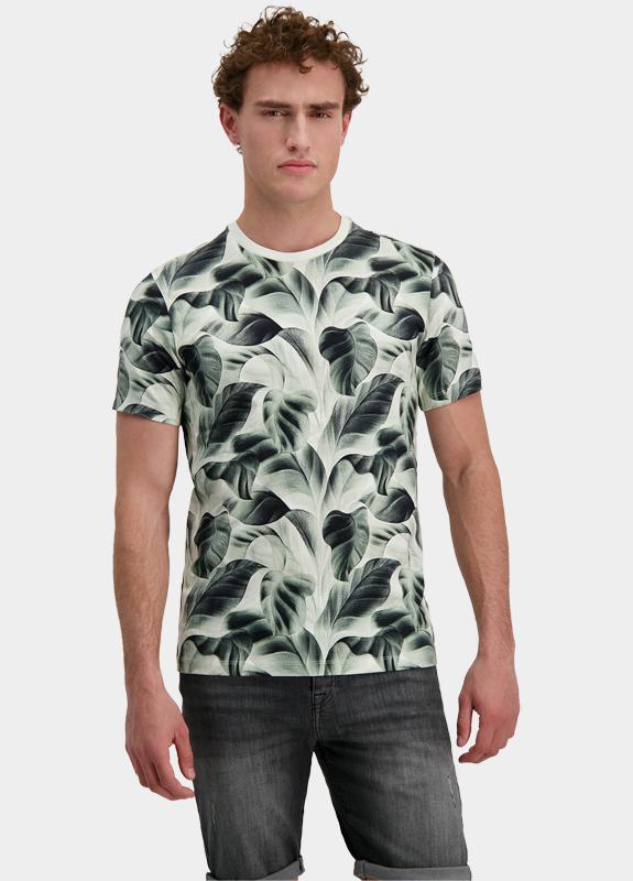 Cars Jeans T-shirt korte mouw Grijs Tipah 63563/44