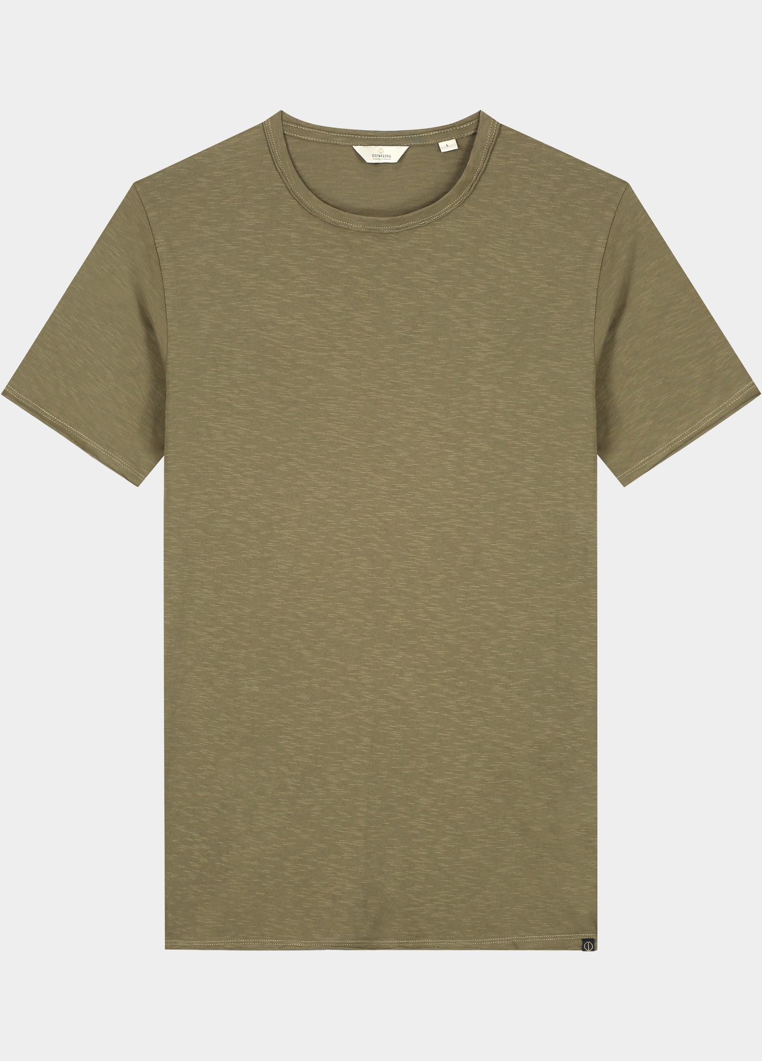 Dstrezzed T-shirt heren Grijs Mc Queen 202274/836