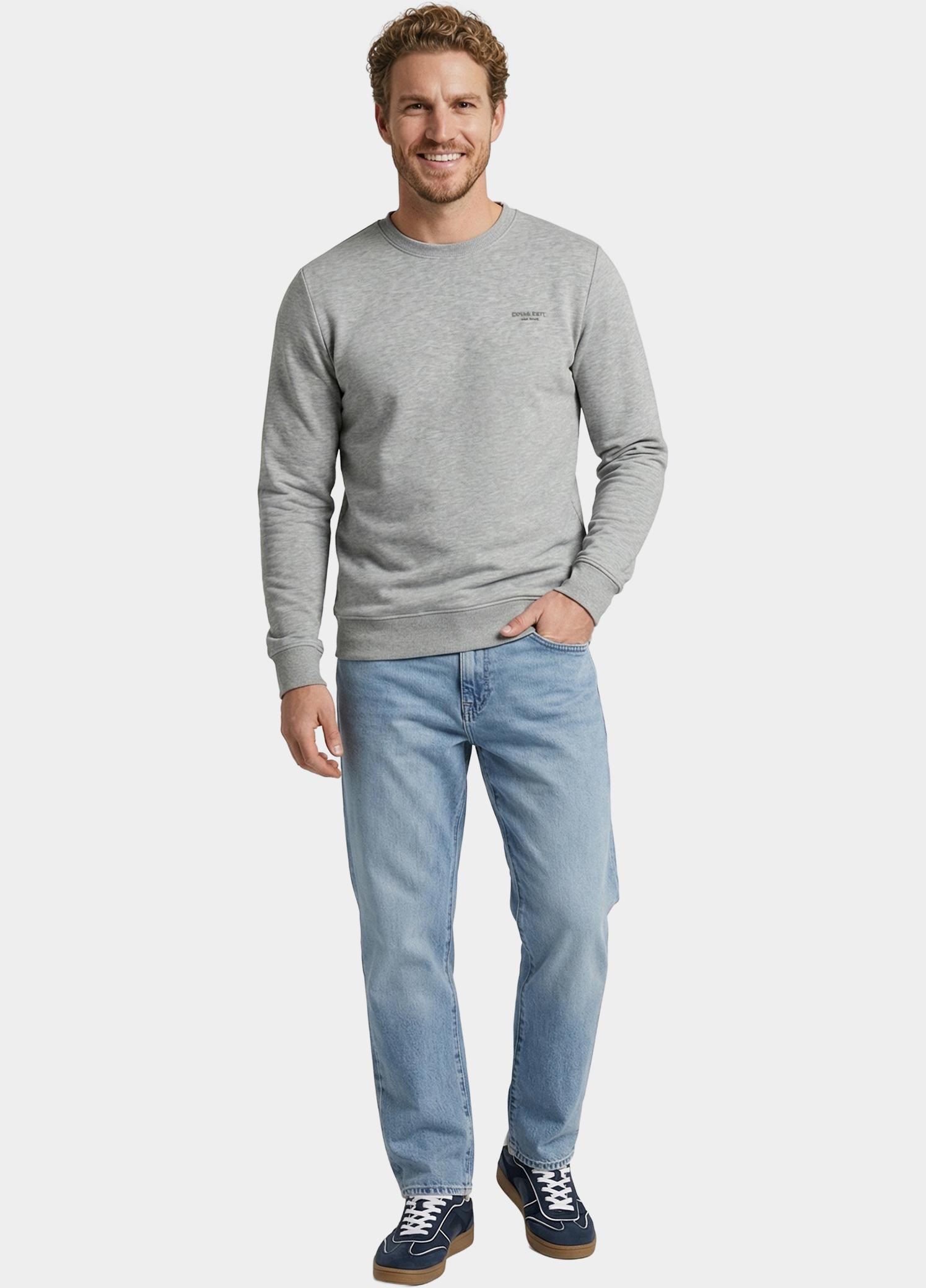 Cars Jeans Sweater Grijs HENDRO SW Crew 63582/53