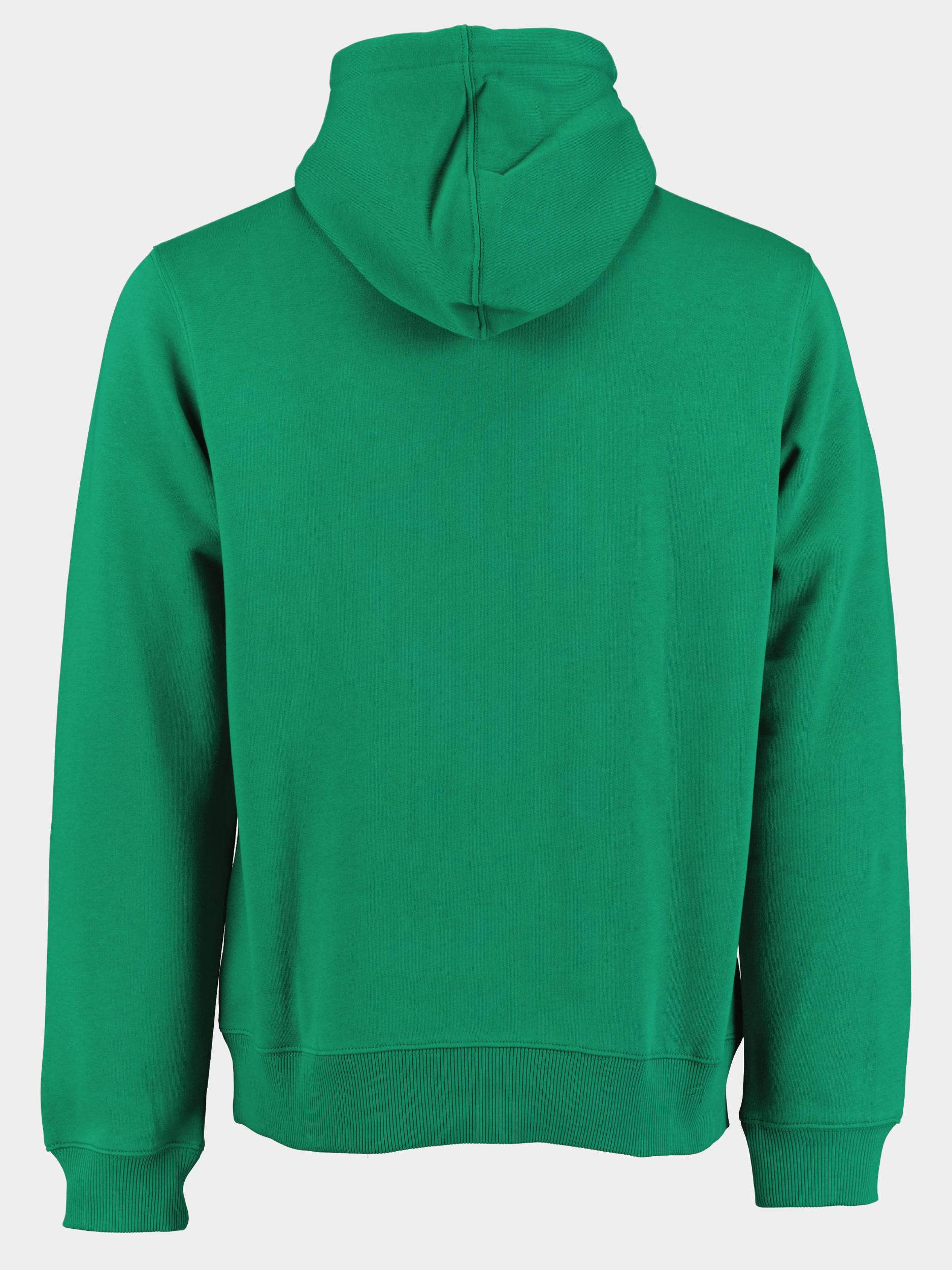 Lacoste Sweater Groen  SH2105/CNQ