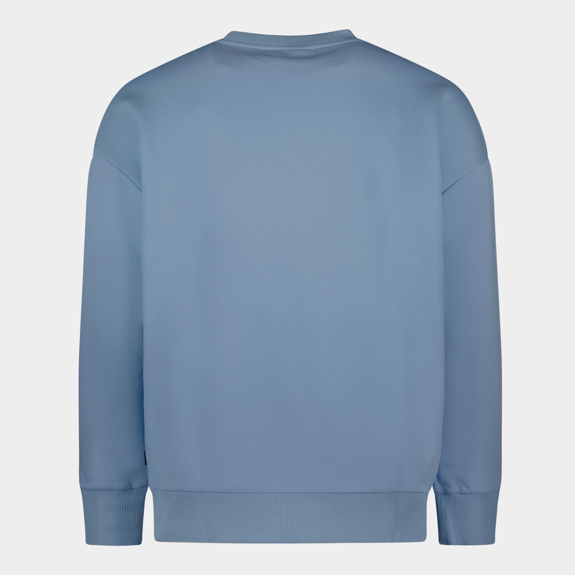 Cars Jeans Sweater Blauw EAMON 40385/71
