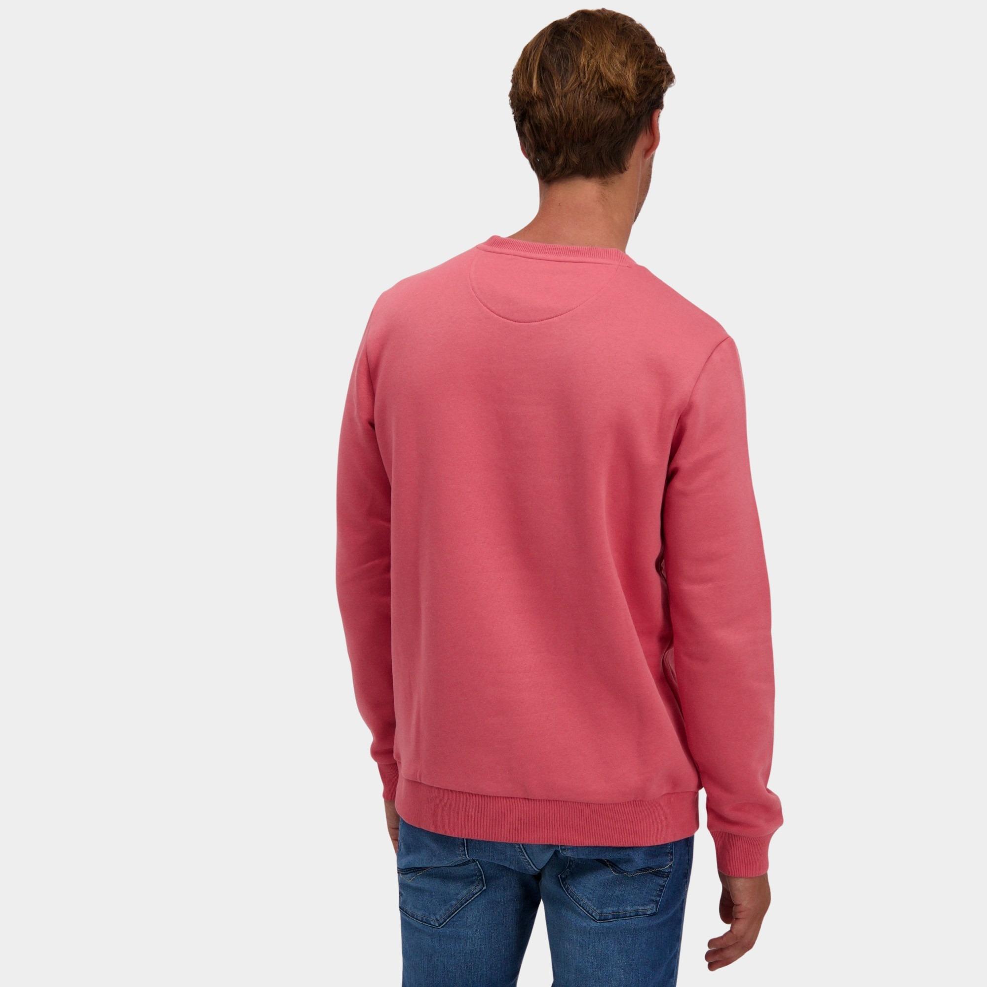 Cars Jeans Sweater Paars Kreyam 69746/62