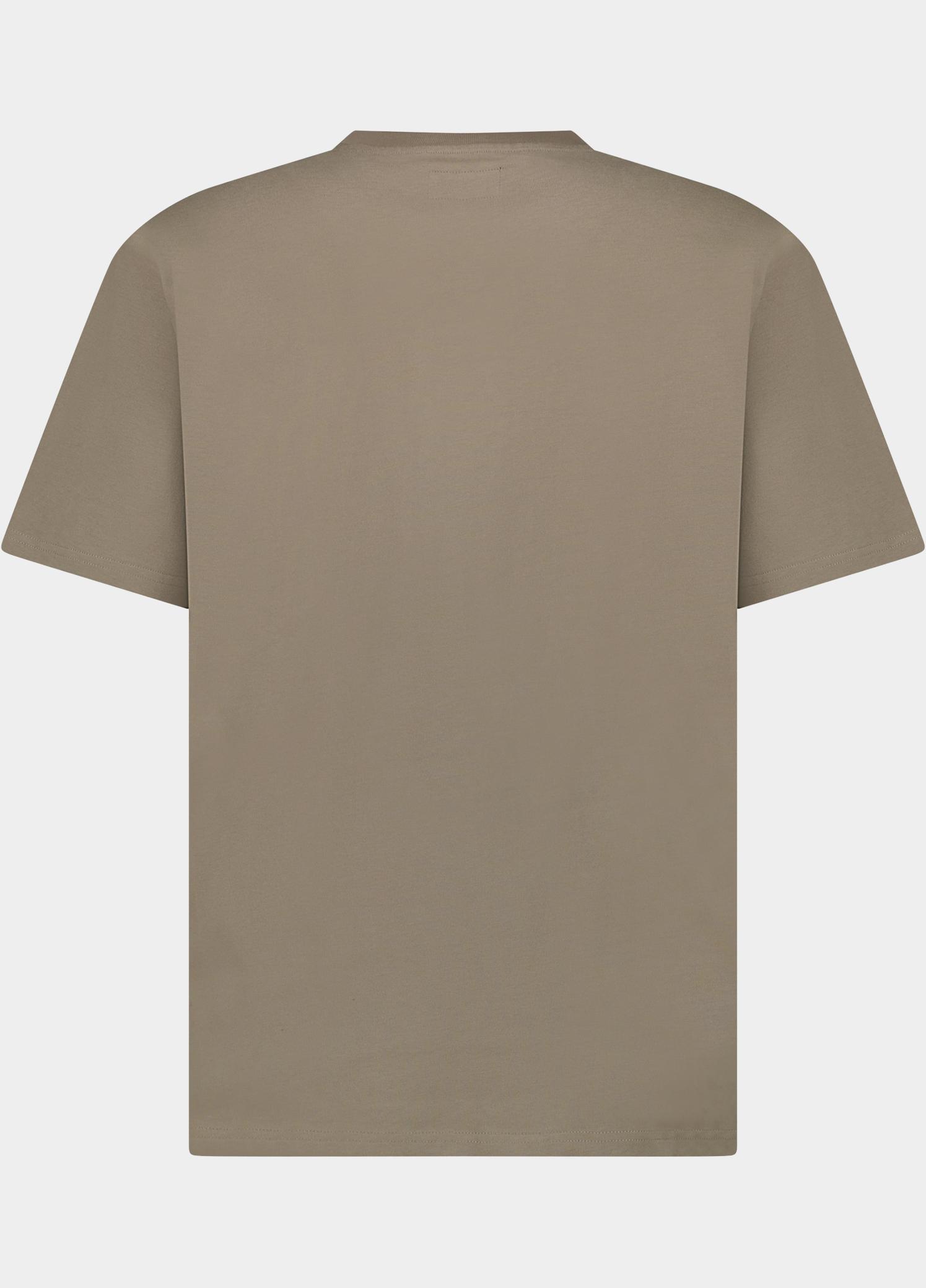 Cars Jeans T-shirt heren Grijs Vanny 60351/44