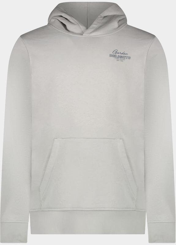 Cars Jeans Hoodie Grijs Smyte 61971/24