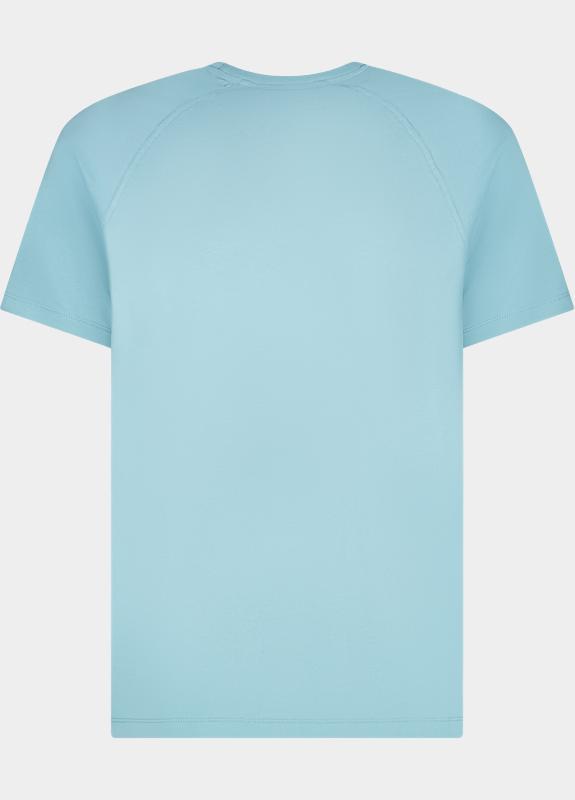 Cars Jeans T-shirt korte mouw Grijs Taymes 60671/47