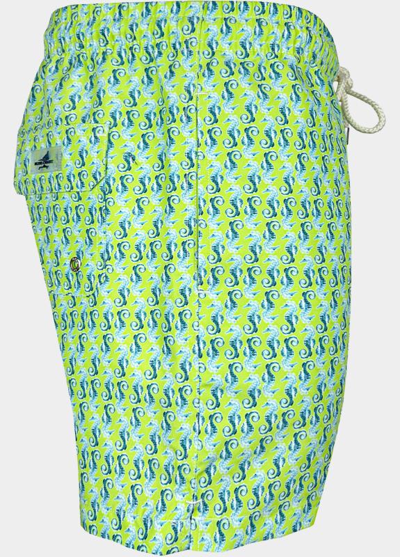 Blue Coast Zwembroek Groen  6179/0047