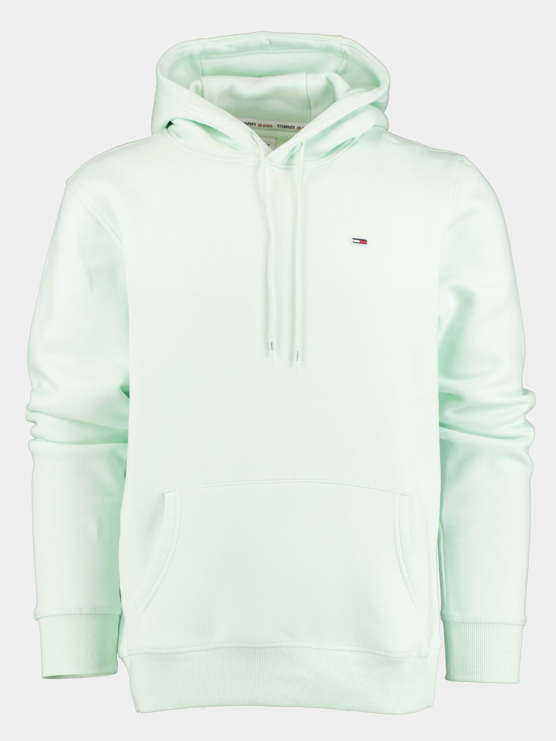 Tommy Jeans Sweater Groen TJM Reg Solid Hoodie DM0DM16382/LXW