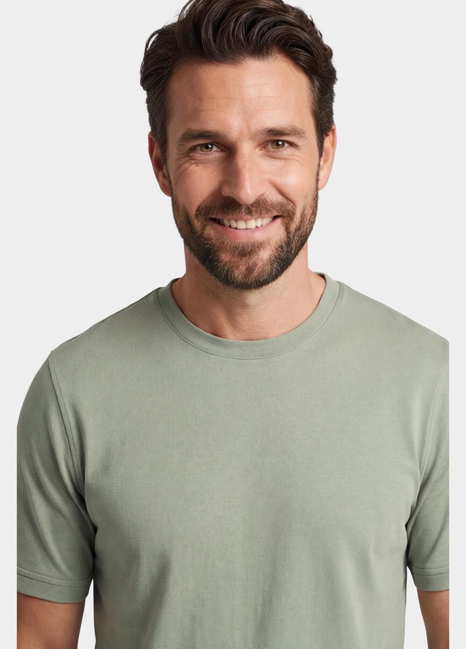Baileys T-shirt heren Groen T-Shirt crew neck   2-tone 615077/72