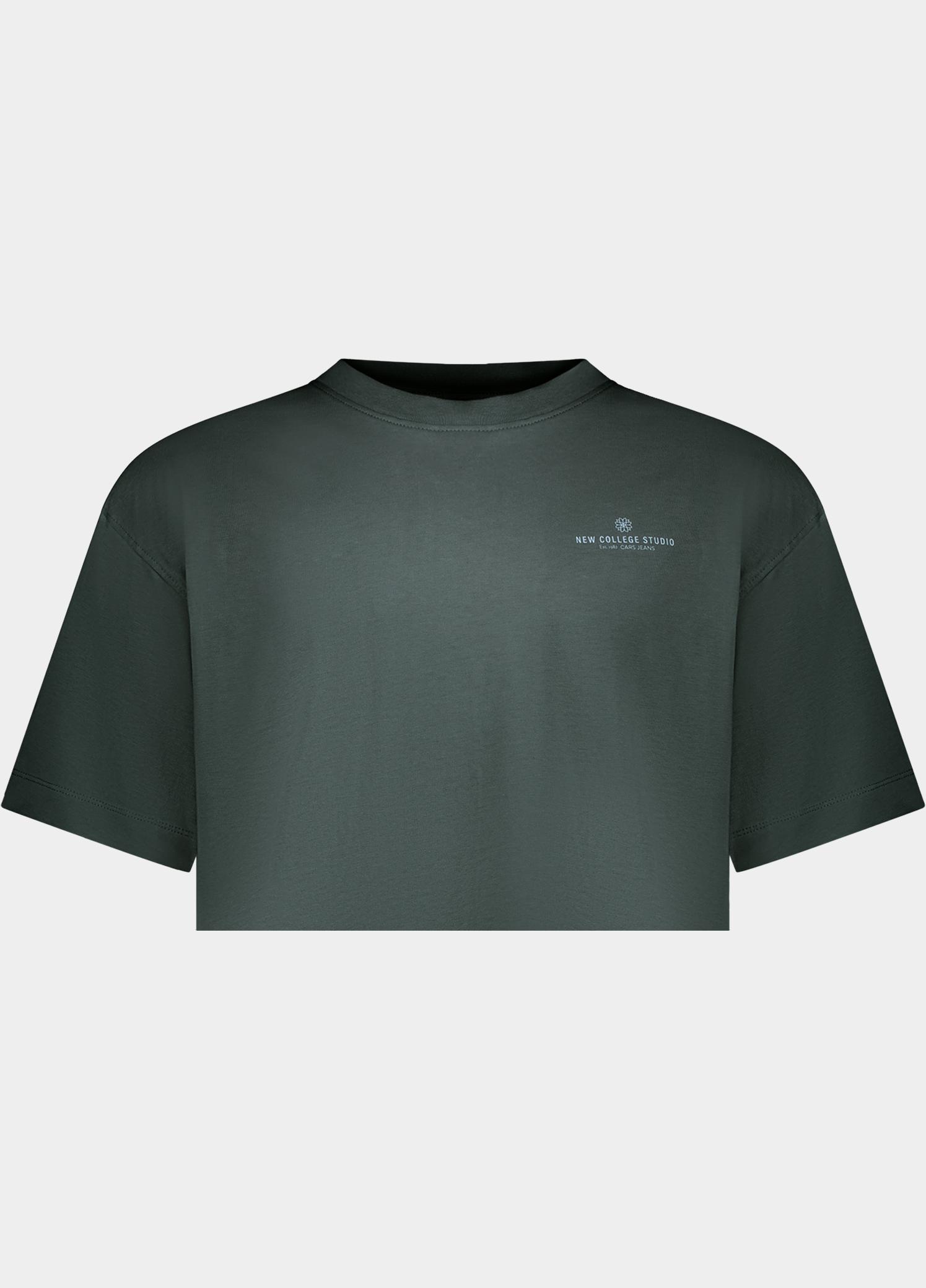 Cars Jeans T-shirt heren Grijs Nizzy 66897/44