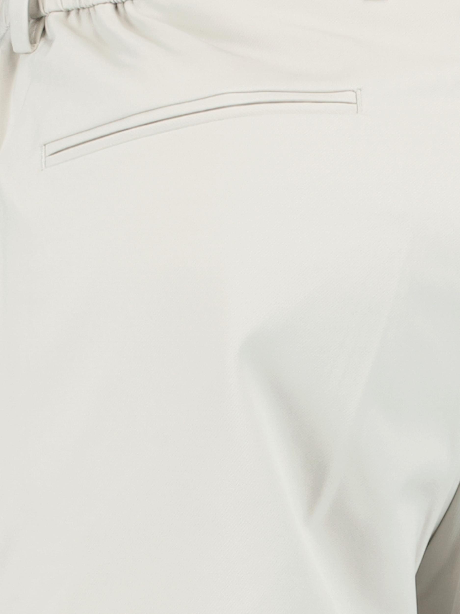 Born With Appetite Chino Grijs Das Pants 25104DA10/920 mist