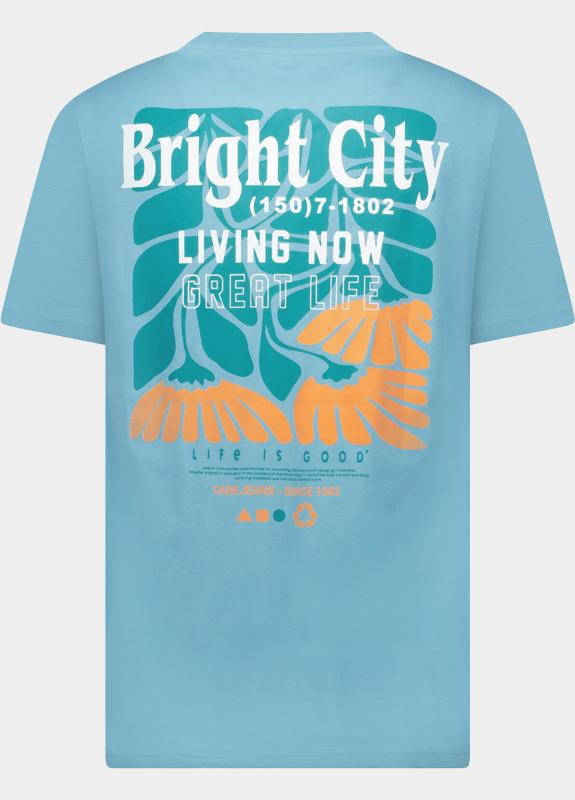 Cars Jeans T-shirt korte mouw Grijs Ritzo 62371/47