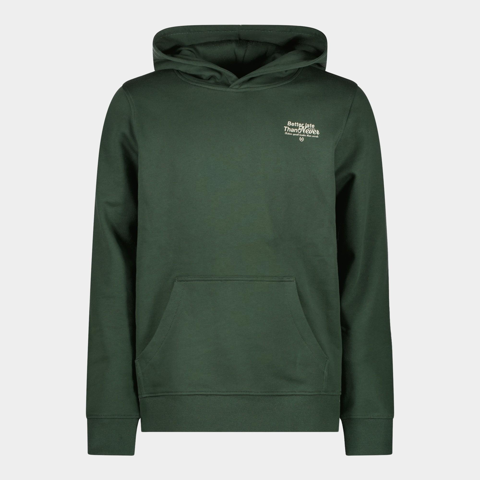 Cars Jeans Hoodie Groen Dukey 62565/46